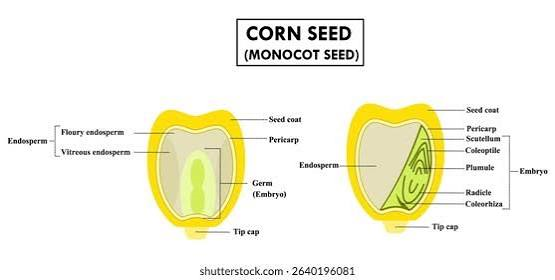 Quality Seeds